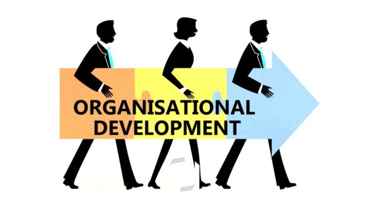 توسعه سازمان