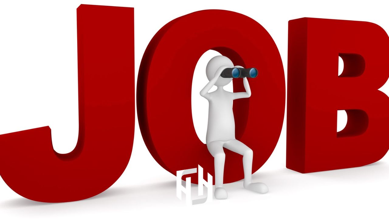 شغل در سازمان چه تعریفی دارد