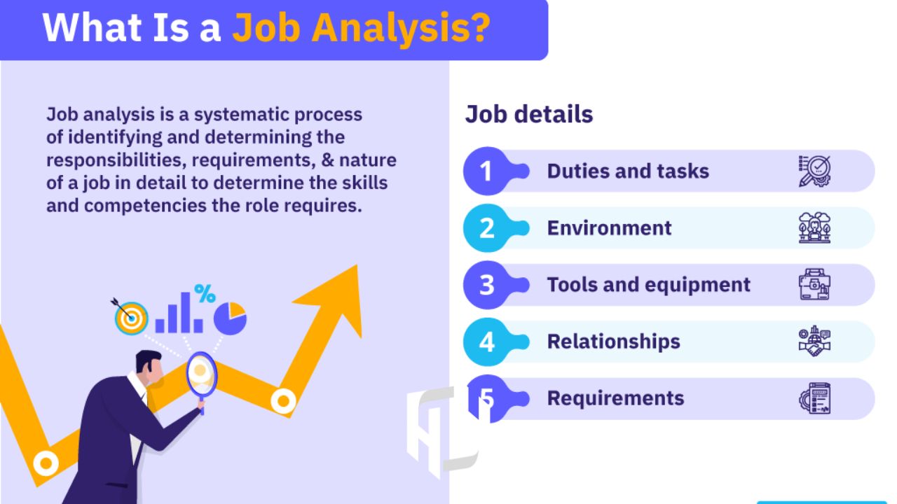 مراحل انجام تجزیه‌وتحلیل شغل