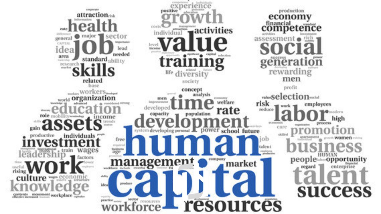 سازمانها چه زمانی باید از «HR» به «سرمایه انسانی» پل بزنند؟