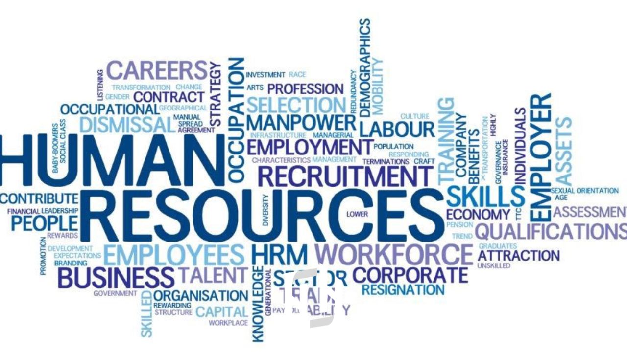 تعریف سرمایه انسانی (Human Capital)